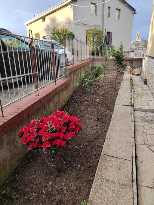 B&B La Finestra Sul Mare Ripatransone Esterno foto